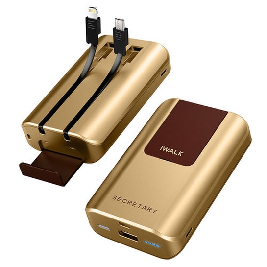 Зовнішній акумулятор iWalk Secretary 10000mAh Universal Backup Battery Gold - ціна, характеристики, відгуки, розстрочка, фото 2