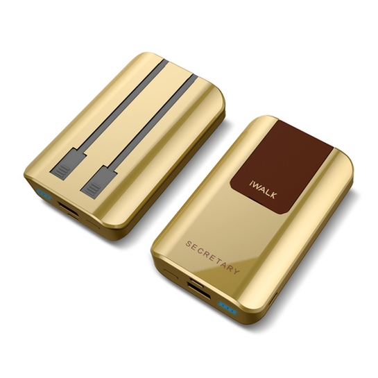Зовнішній акумулятор iWalk Secretary 10000mAh Universal Backup Battery Gold - ціна, характеристики, відгуки, розстрочка, фото 3