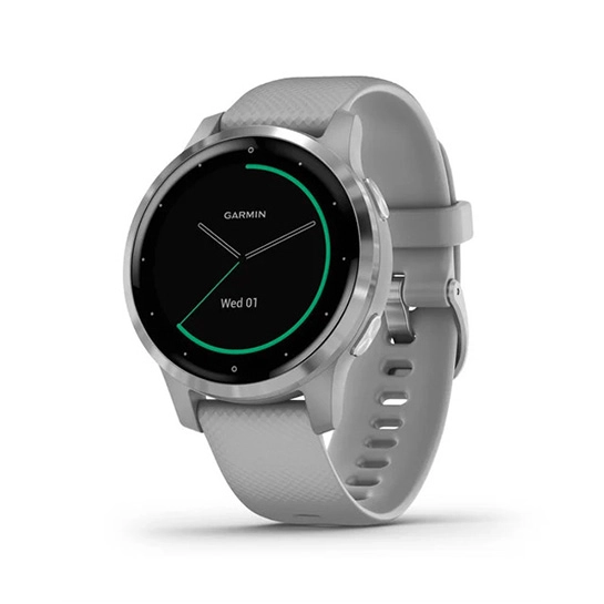 Спортивные часы Garmin Vivoactive 4S Silver Stainless Steel Bezel with Powder Gray Case and Silicone
