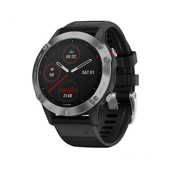 Спортивний годинник Garmin Fenix 6 Silver with Black Band