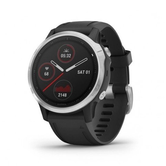 Спортивний годинник Garmin Fenix 6S Silver with Black Band