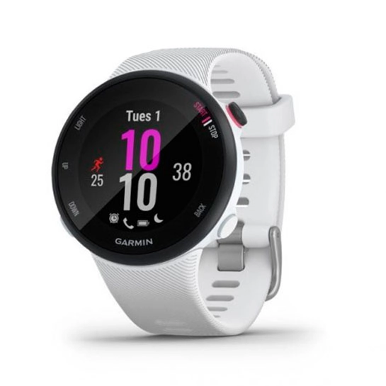 Спортивний годинник Garmin Forerunner 45s White