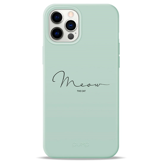 Чехол Pump Silicone Minimalistic Case for iPhone 12 Pro Max Meow Light Blue #