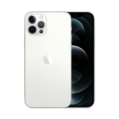 Apple iPhone 12 Pro 256 Gb Silver Dual SIM