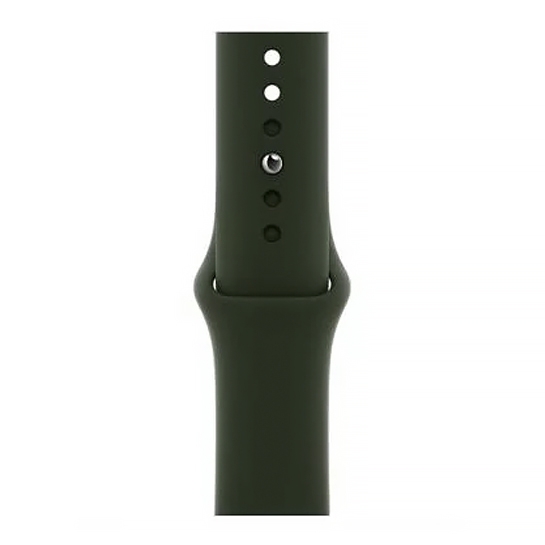 Смарт-годинник Apple Watch Series 6 + LTE 44mm Gold Stainless Steel Case with Cyprus Green Sport Band - ціна, характеристики, відгуки, розстрочка, фото 3