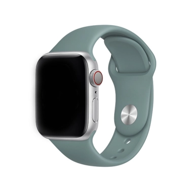 Ремешок Apple Sport Band for Apple Watch 38mm/40mm Cactus - цена, характеристики, отзывы, рассрочка, фото 1