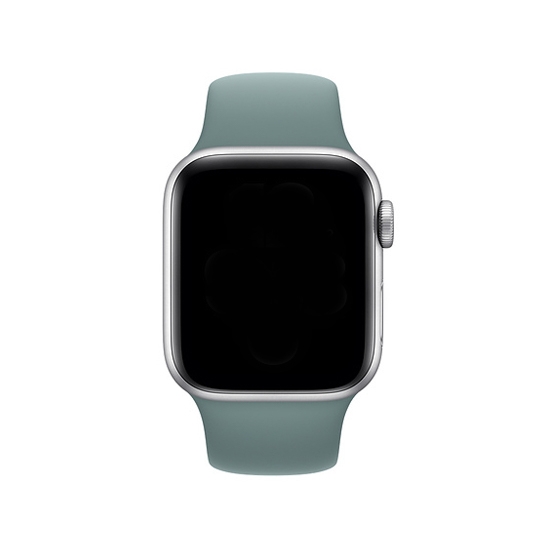 Ремешок Apple Sport Band for Apple Watch 38mm/40mm Cactus - цена, характеристики, отзывы, рассрочка, фото 2