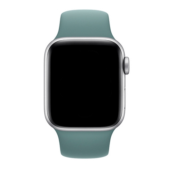Ремешок Apple Sport Band for Apple Watch 42mm/44mm Cactus - цена, характеристики, отзывы, рассрочка, фото 2