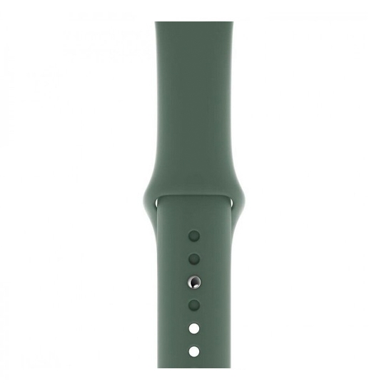 Смарт-часы Apple Watch Series 5 44mm Space Gray Aluminum Case with Pine Green Sport Band  - цена, характеристики, отзывы, рассрочка, фото 3