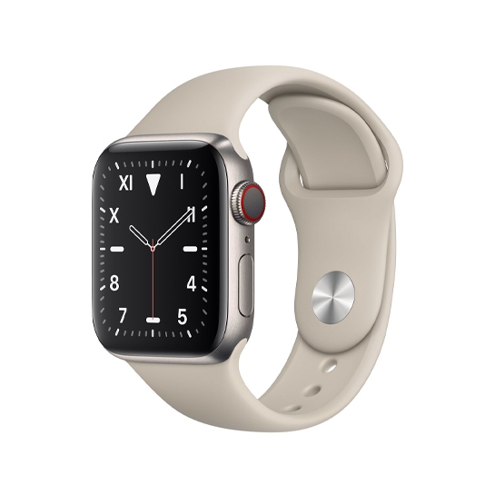 Смарт-годинник Apple Watch Edition Series 5 + LTE 40mm Titanium Case with Sport Band Gray - цена, характеристики, отзывы, рассрочка, фото 1