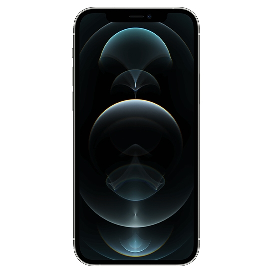 Apple iPhone 12 Pro 256 Gb Silver Dual SIM - цена, характеристики, отзывы, рассрочка, фото 7
