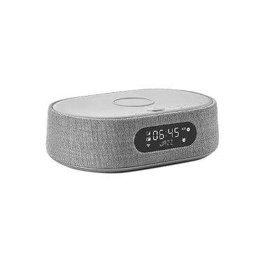 Акустическая система Harman Kardon Oasis Mini Grey - цена, характеристики, отзывы, рассрочка, фото 1