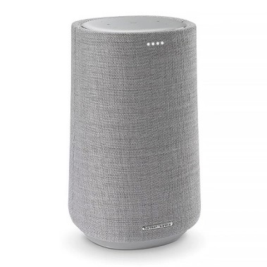 Акустическая система Harman Kardon Citation 100 MKII Gray - цена, характеристики, отзывы, рассрочка, фото 1