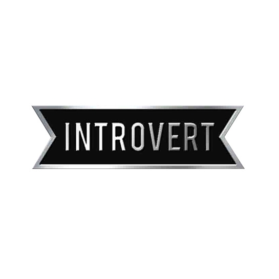 Значок Pico Introvert - цена, характеристики, отзывы, рассрочка, фото 1