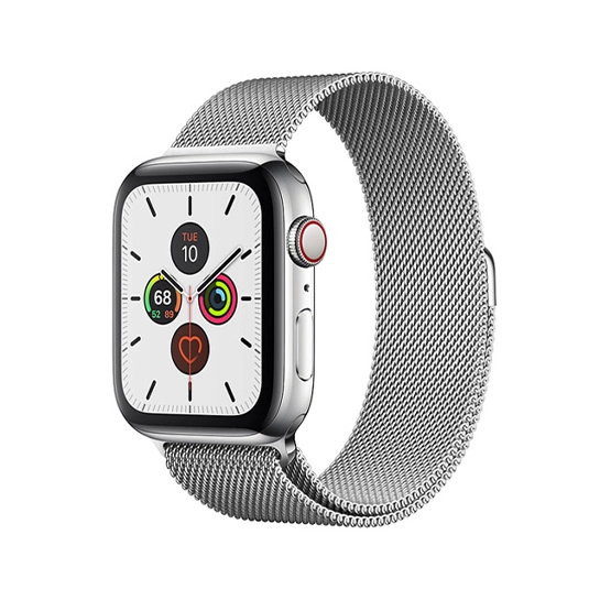 Смарт-часы Apple Watch Series 5 + LTE 40mm Stainless Steel Case with Silver Milanese Loop