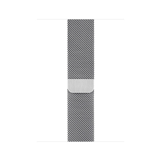 Смарт-часы Apple Watch Series 5 + LTE 40mm Stainless Steel Case with Silver Milanese Loop - цена, характеристики, отзывы, рассрочка, фото 2