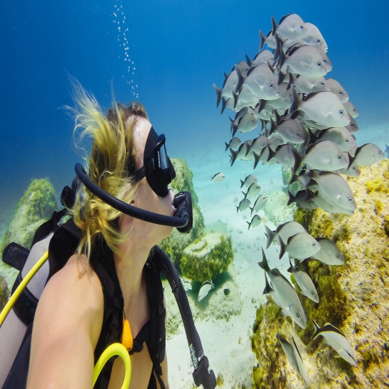 GoPro Tropical/Blue Water Dive Filter (For Armageddon) - ціна, характеристики, відгуки, розстрочка, фото 2