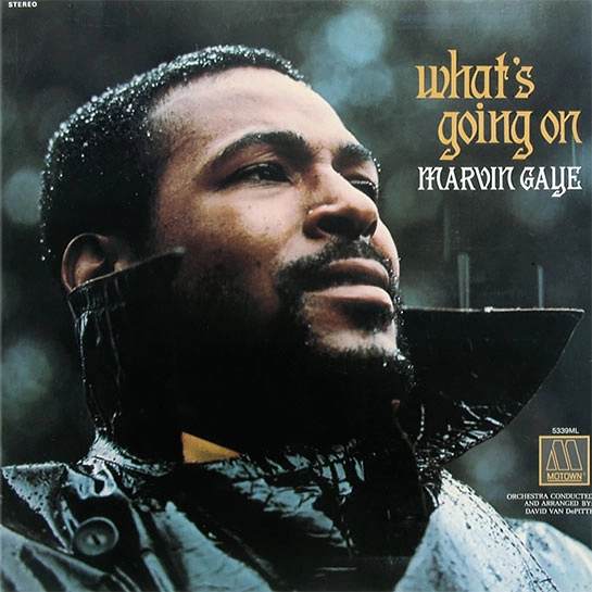 Виниловая пластинка Marvin Gaye - What