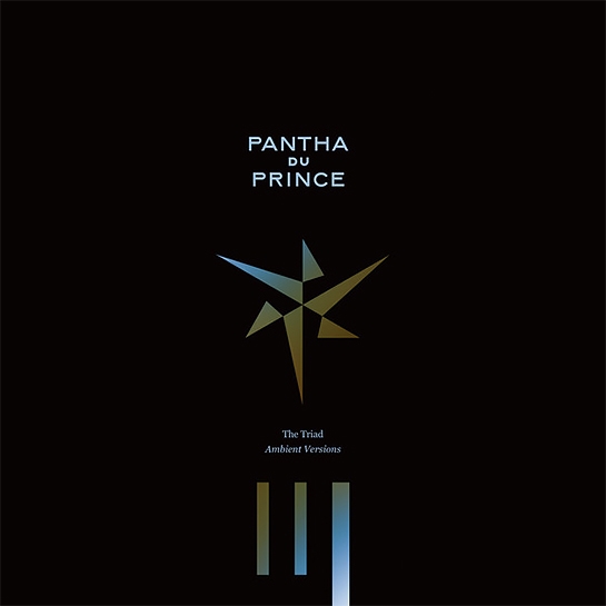Виниловая пластинка Pantha Du Prince - Triad Ambient Version - цена, характеристики, отзывы, рассрочка, фото 1