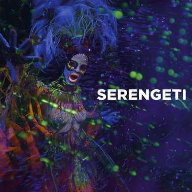 Вінілова платівка President Bongo – Serengeti - цена, характеристики, отзывы, рассрочка, фото 1