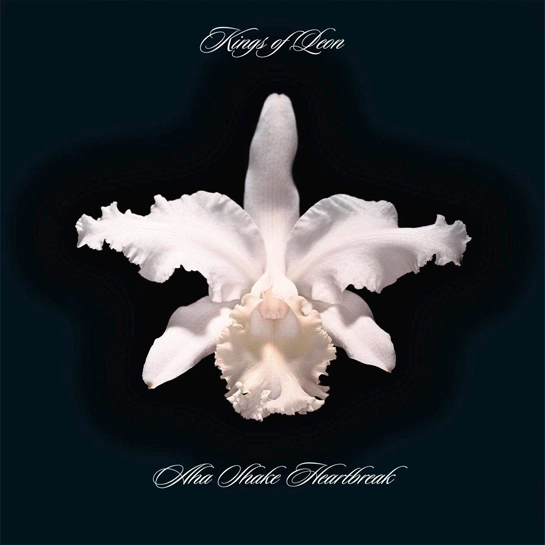 Вінілова платівка Kings Of Leon - Aha Shake Heartbreak