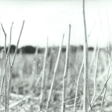 Вінілова платівка Recondite - On Acid - цена, характеристики, отзывы, рассрочка, фото 1