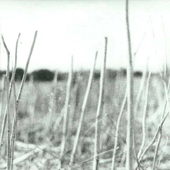 Вінілова платівка Recondite - On Acid