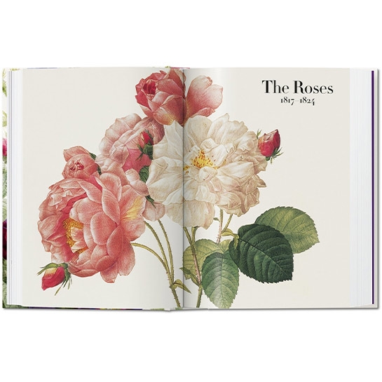 Книга Taschen H. Walter Lack: Redoute. The Book of Flowers. 40th Ed. - ціна, характеристики, відгуки, розстрочка, фото 4