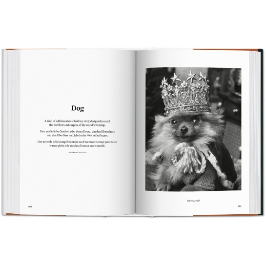 Книга Taschen Raymond Merritt: The Dog in Photography 1839 Today - ціна, характеристики, відгуки, розстрочка, фото 2