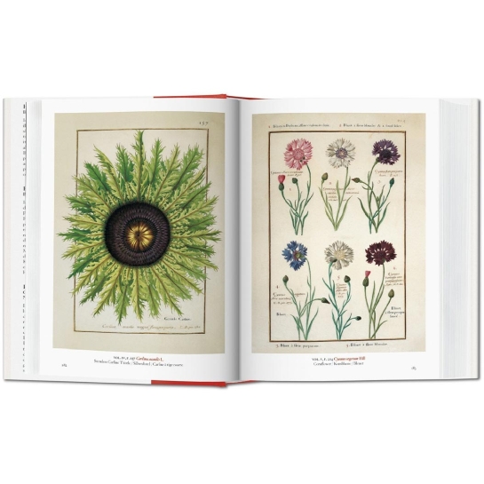 Книга Taschen H. Walter Lack: A Garden Eden. Masterpieces of Botanical Illustration - ціна, характеристики, відгуки, розстрочка, фото 5