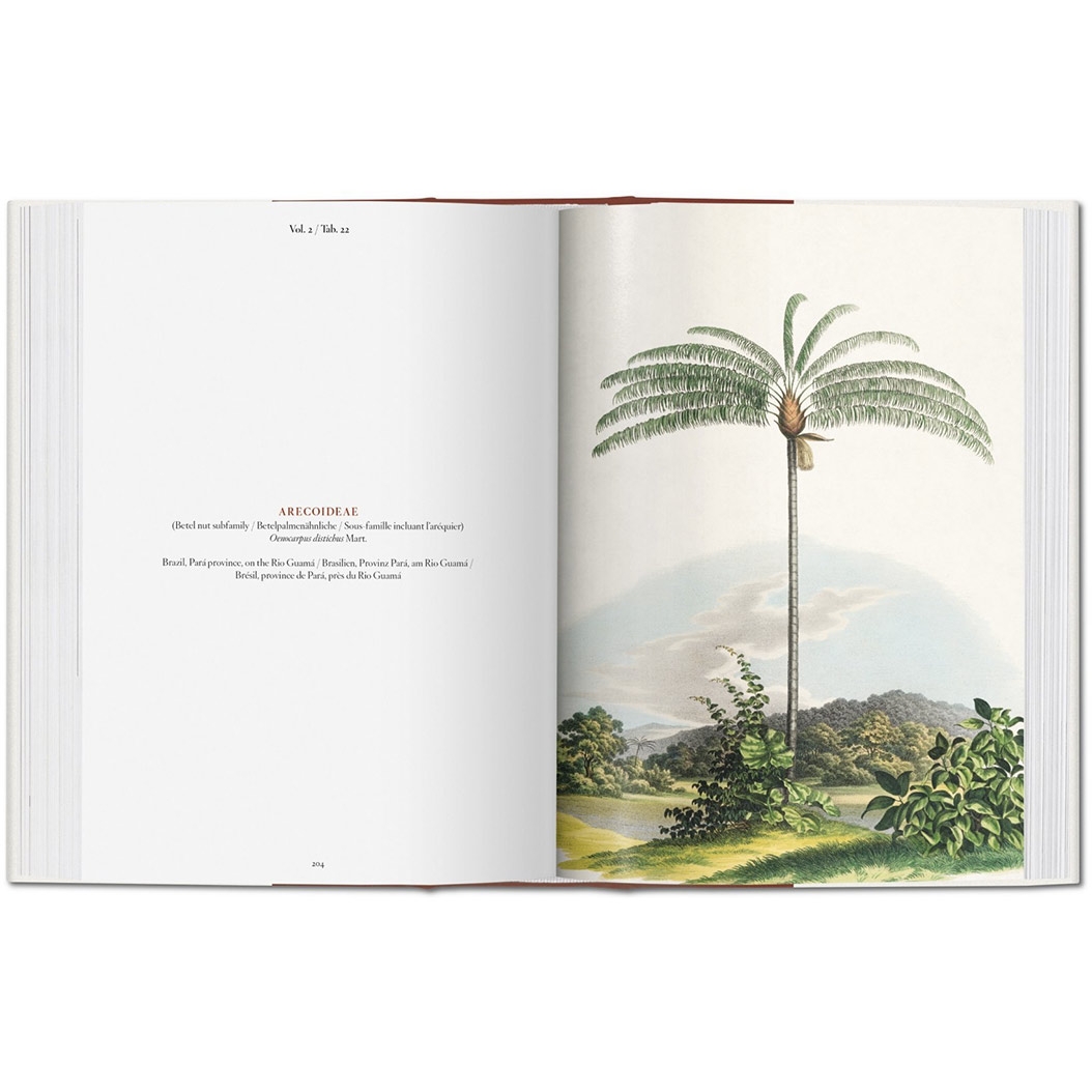 Книга Taschen H. Walter Lack: Martius. The Book of Palms