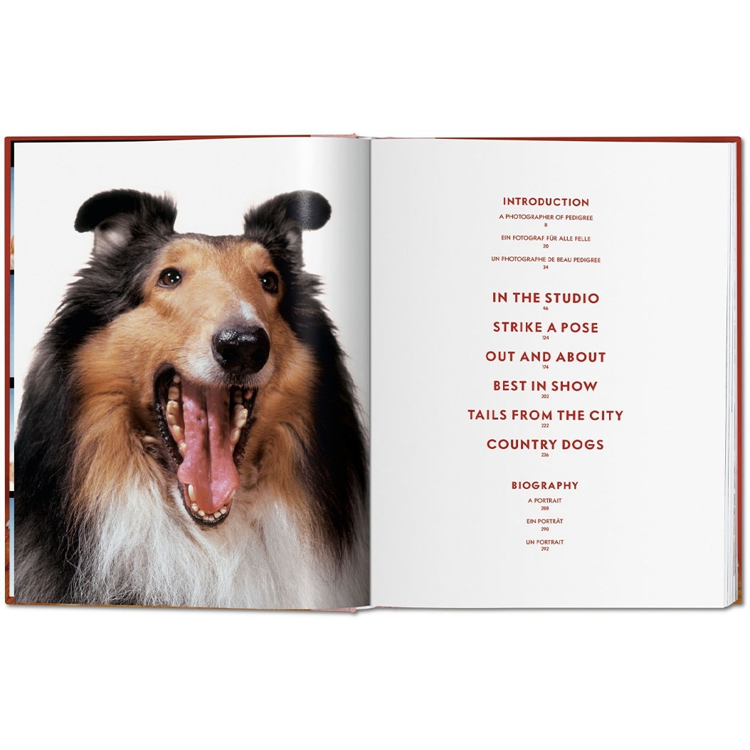 Книга Taschen Susan Michalsr: Walter Chandoha. Dogs. Photographs 1941–1991 - цена, характеристики, отзывы, рассрочка, фото 3