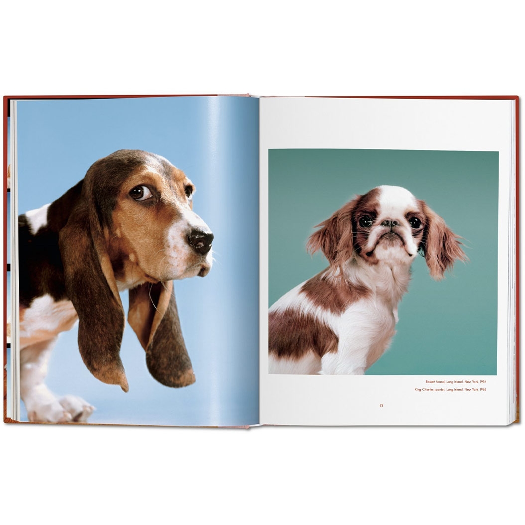 Книга Taschen Susan Michalsr: Walter Chandoha. Dogs. Photographs 1941–1991 - цена, характеристики, отзывы, рассрочка, фото 4