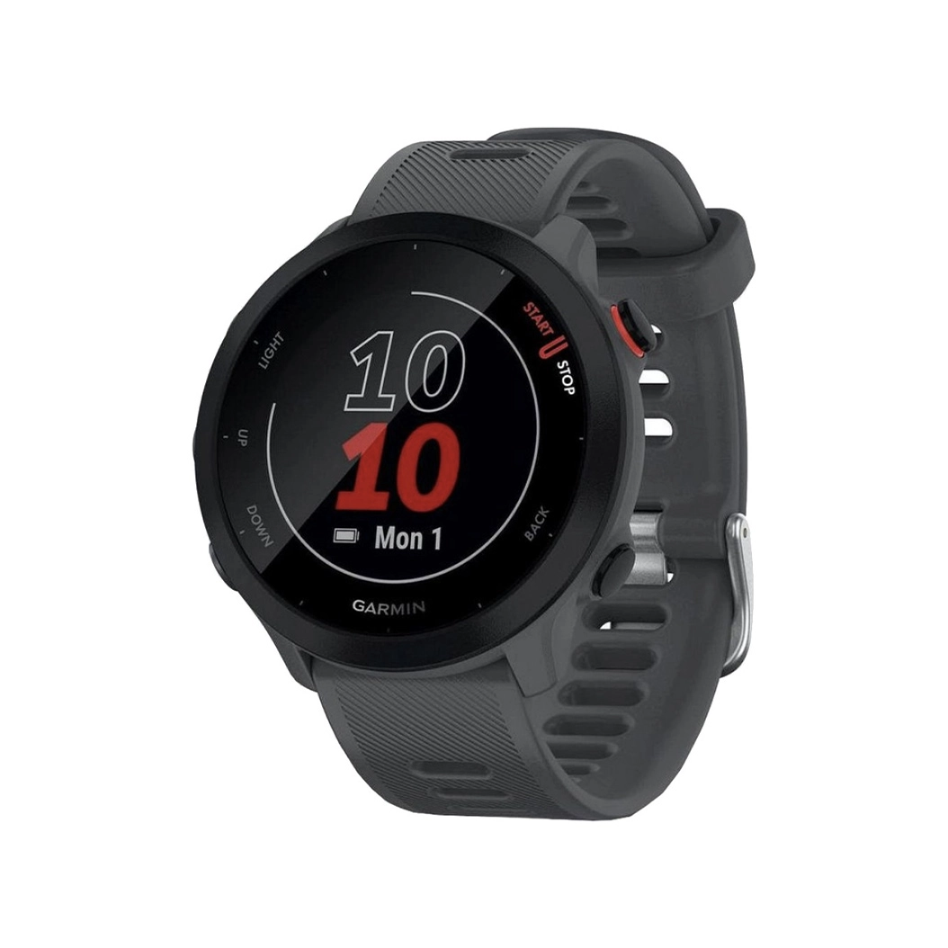 Спортивний годинник Garmin Forerunner 55 Monterra Grey