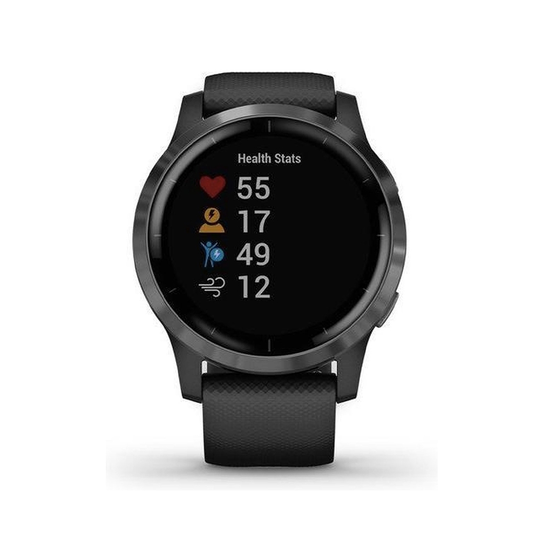 Спортивные часы Garmin Vivoactive 4S Black/Slate