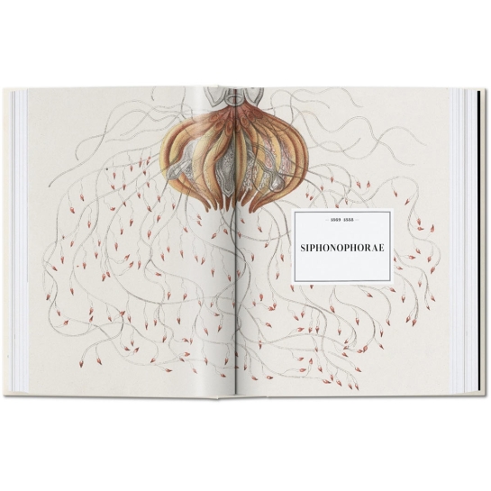 Книга Taschen Rainer Willmann, Julia Voss: The Art and Science of Ernst Haeckel. 40th Ed. - цена, характеристики, отзывы, рассрочка, фото 3