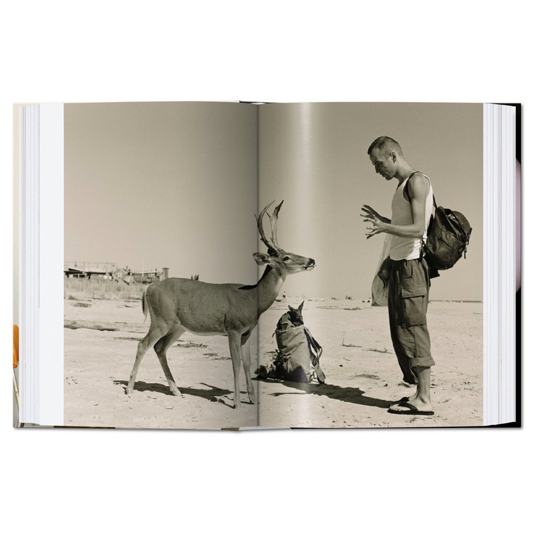 Книга Taschen Wolfgang Tillmans. four books. 40th Ed. - ціна, характеристики, відгуки, розстрочка, фото 4