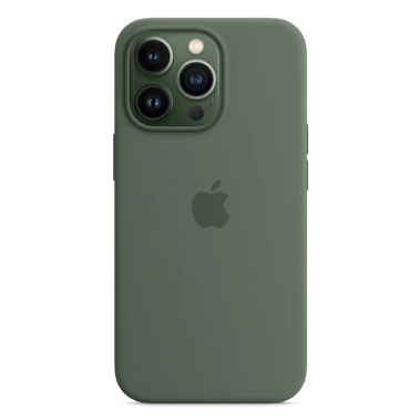 Чехол Apple Silicone Case with MagSafe for iPhone 13 Pro Eucalyptus - цена, характеристики, отзывы, рассрочка, фото 1
