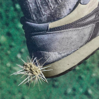 Виниловая пластинка Ross From Friends – Tread - цена, характеристики, отзывы, рассрочка, фото 1