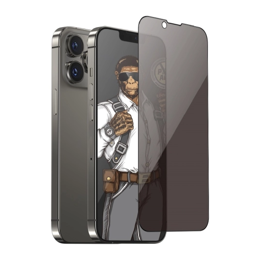 Скло Blueo 2.5D Silk Narrow Border Tempered Glass Privacy (Anti-Peep) for iPhone 13/13 Pro Black