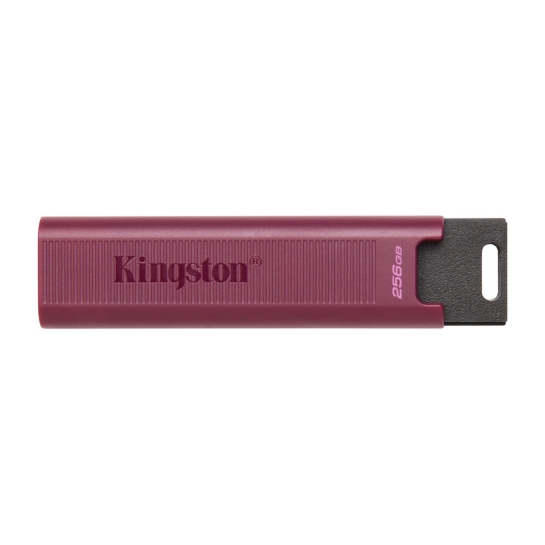 Зовнішній накопичувач USB-C Kingston 256GB DataTraveler Max USB 3.2 Gen 2 - ціна, характеристики, відгуки, розстрочка, фото 1