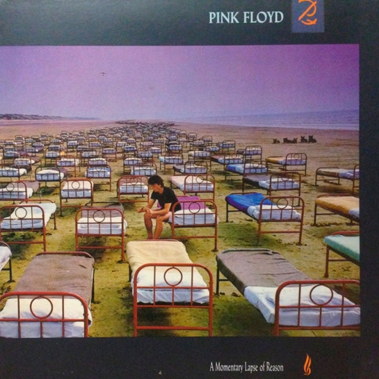 Виниловая пластинка Pink Floyd - A Momentary Lapse - цена, характеристики, отзывы, рассрочка, фото 1
