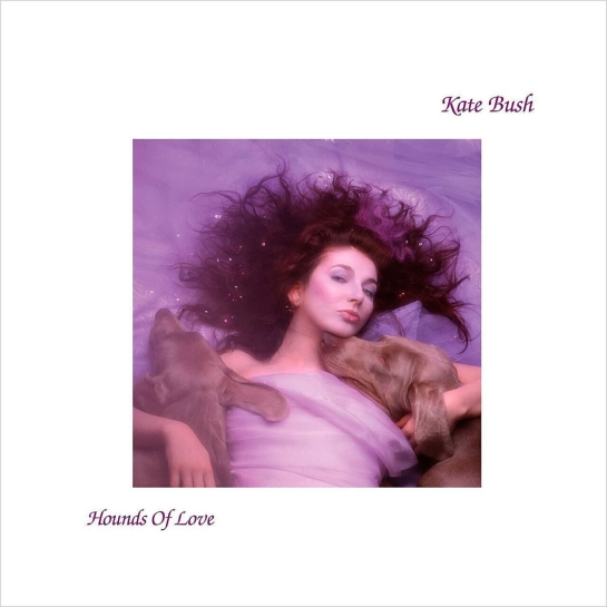 Вінілова платівка Kate Bush - Hounds Of Love - ціна, характеристики, відгуки, розстрочка, фото 1
