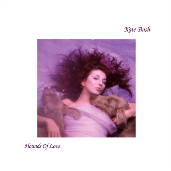 Виниловая пластинка Kate Bush - Hounds Of Love