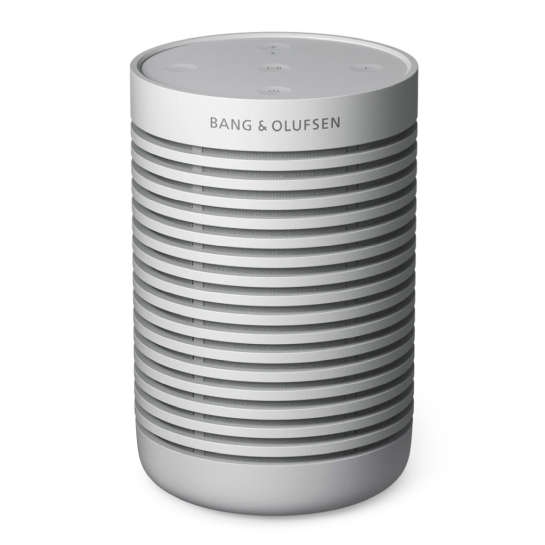 Портативная акустика Bang&Olufsen Beosound Explore Grey Mist - цена, характеристики, отзывы, рассрочка, фото 1