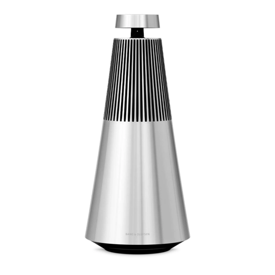 Акустическая система Bang&Olufsen BeoSound 2 Aluminium