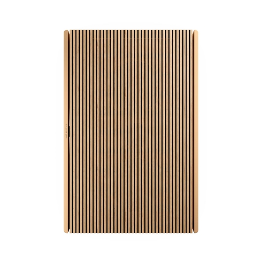 Портативна акустика Bang&Olufsen Beosound Level Gold Tone Alu/Light Oak - ціна, характеристики, відгуки, розстрочка, фото 6