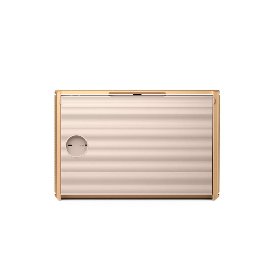 Портативна акустика Bang&Olufsen Beosound Level Gold Tone Alu/Light Oak - ціна, характеристики, відгуки, розстрочка, фото 4