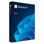 ПО Microsoft Windows 11 Pro FPP 64-bit Eng Intl non-EU/EFTA USB (HAV-00164)
