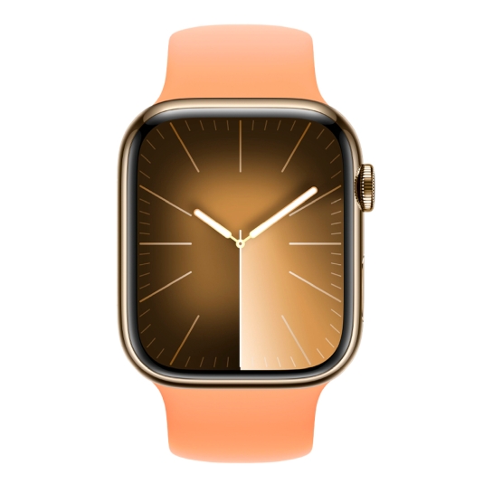 Apple Watch 9 + LTE 45mm Gold Stainless Steel Case with Orange Sorbet Solo Loop - ціна, характеристики, відгуки, розстрочка, фото 2